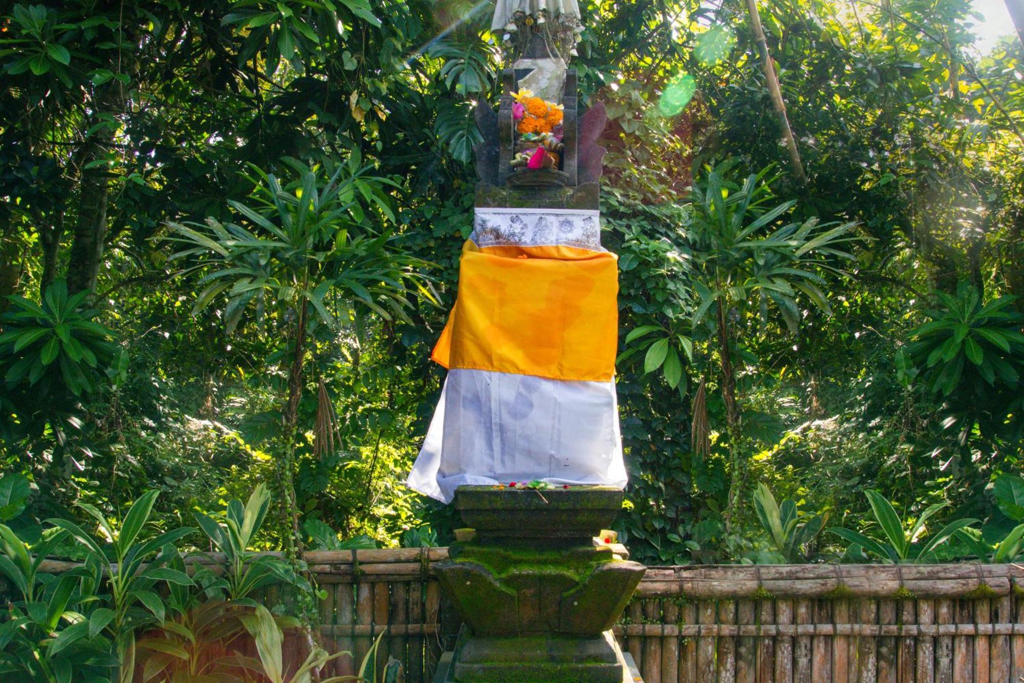 Parvati Retreat Villas Ubud  Ngoại thất bức ảnh